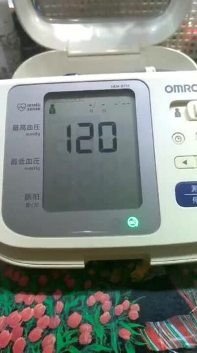 極めてオーソドックスな血圧計』 オムロン HEM-8731 まぐたろう