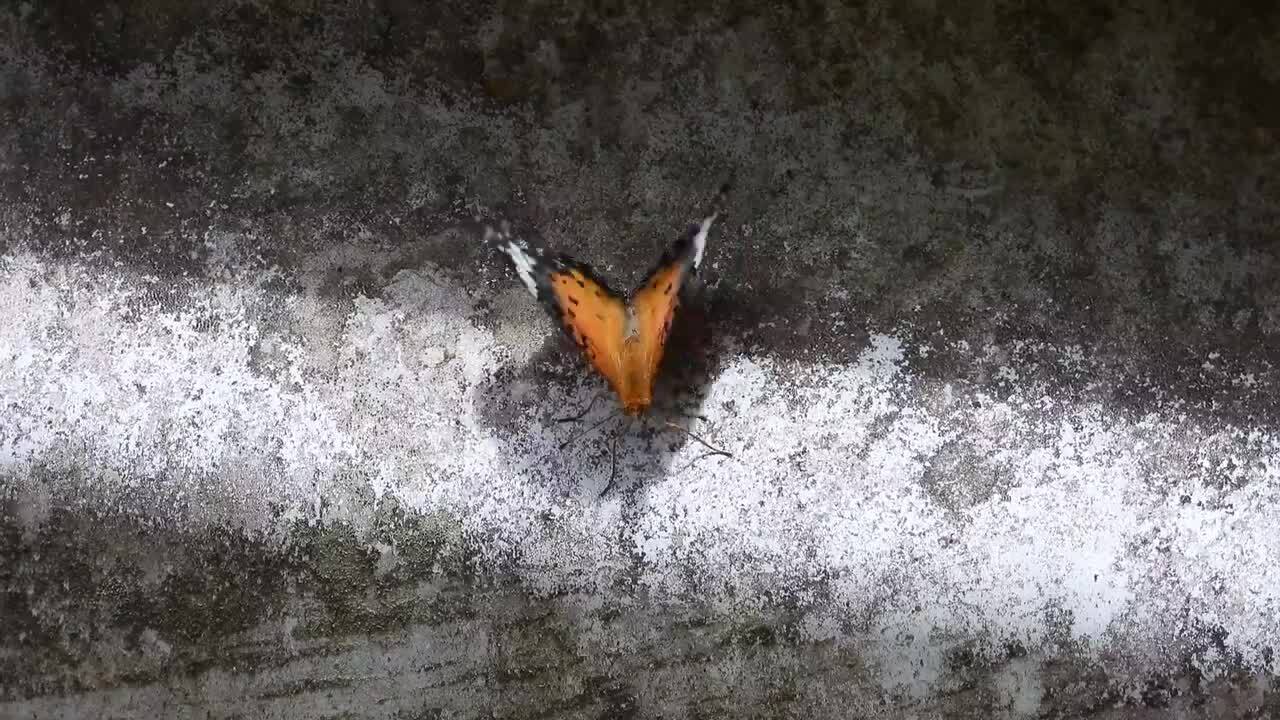夫婦生活 動画無料 投稿個人撮影.jpg4 