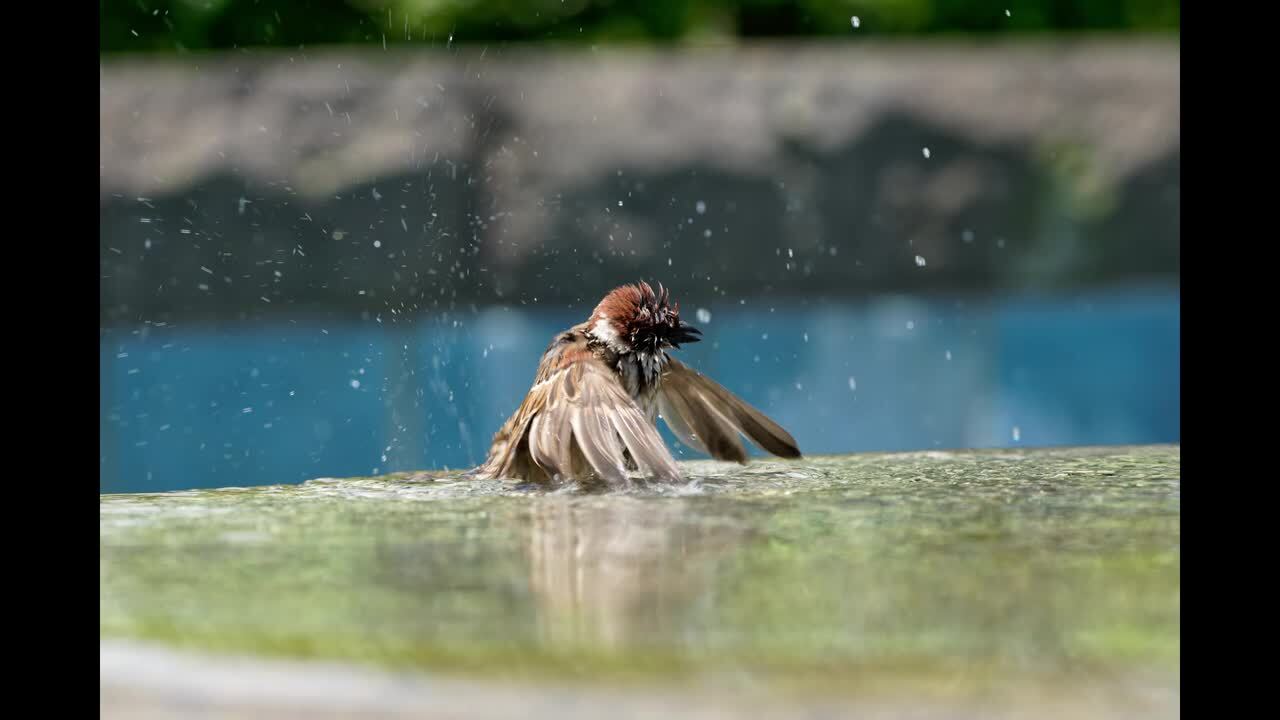 デジタル一眼カメラなんでも掲示板のクチコミ 価格 Com