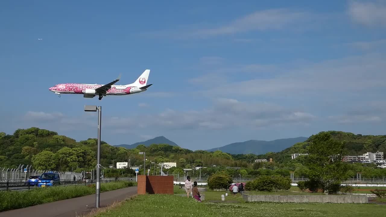 ばなな ❀はな❀ おはな adidas ZX 8000 “Hanami” Pack Celebrates Japan and