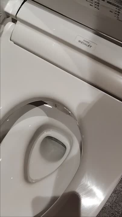 TOTO REWF03B1R ホワイト 未使用 1個 Amazon | TOTO REWF03B1 ホワイト | 温水器