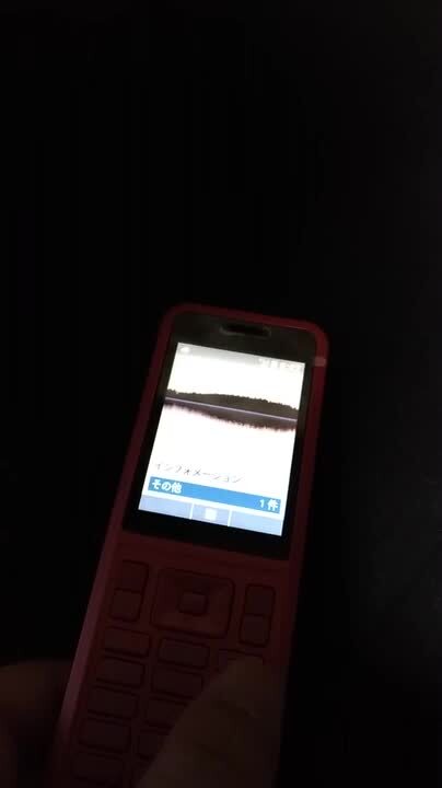 お値下げ！【SIMフリー】未使用品 Simply レッド 602SI お値下げ！【SIMフリー】未使用品 Simply レッド 602SI - メルカリ
