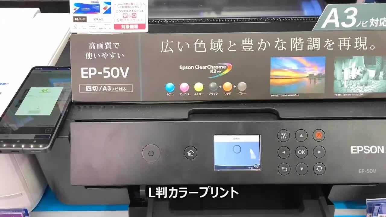 EPSON - EPSON EP-50V (超美品) エプソン プリンター EP-50V A3 カラーインクジェット カラリオ