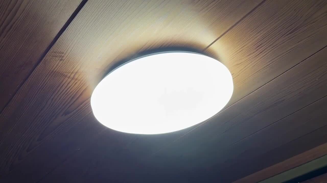 シェル型ホワイトシーリングライト 直接:約50cm シェル型ホワイト