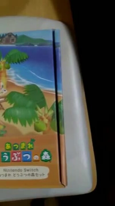 任天堂 Nintendo Switch あつまれ どうぶつの森セット HAD-S-KEAGC