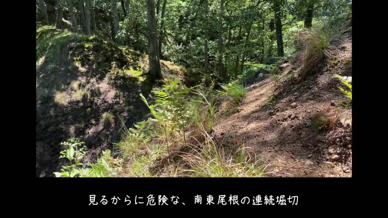 信長も介入した要衝 南・北近江と近江・美濃「境目の城」 鎌刃城 ...