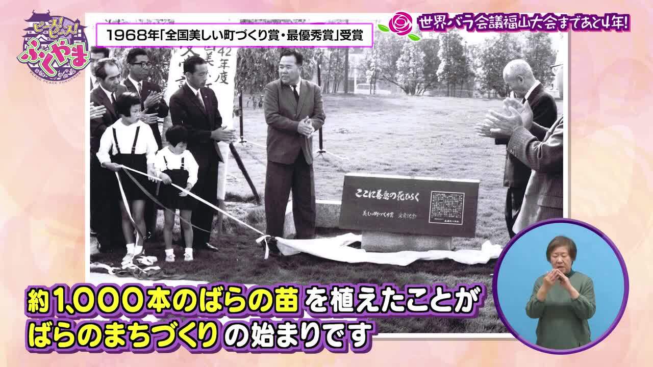 第49回 世界バラ会議福山大会まであと４年 放送内容 ピース ピース ふくやま Rcc