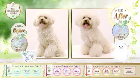 会員制ペット用品総合ショッピングサイト｜ペッツカーニバル
