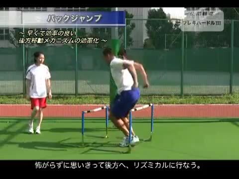 楽天市場】【NISHI ニシ・スポーツ】フレキハードル（脚部折りたたみ式