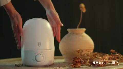 楽天市場】【在庫処分】加湿器 TaoTronics 3-in-1加湿器 アロマ