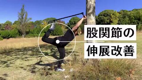 楽天市場】Active Stretch Bar アクティブストレッチバー 【送料