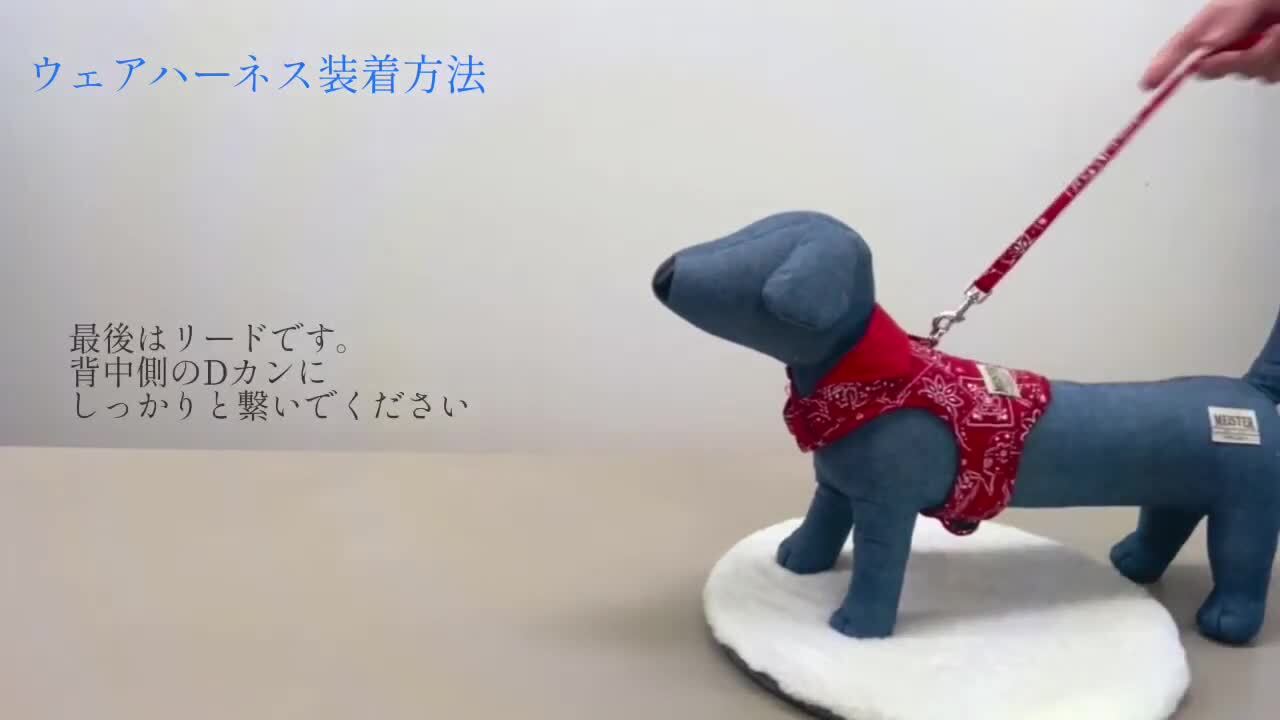 ハーネス・リード myay ハーネス・リード myay 楽天市場】ハーネス【やさしさ