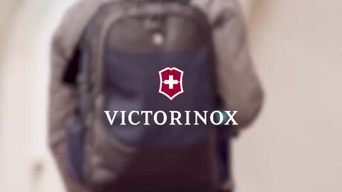 楽天市場】ビクトリノックス VICTORINOX 公式 アルトモント