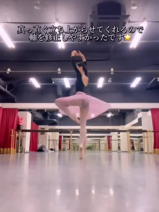 yuuuka！新品☆D&G☆36☆ドルガバ☆バレエシューズ☆ヒョウ柄 レオパード（ヒョウ柄） Dolce & Gabbana(ドルチェ&ガッバーナ