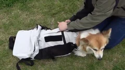 【K9 ケーナイン】K9 Sport Sack Knavigate K9 スポーツサック ナビゲート 小型犬 中型犬 大型犬 ドッグキャリー  犬用リュック PETSREPUBLICファクトリーストア