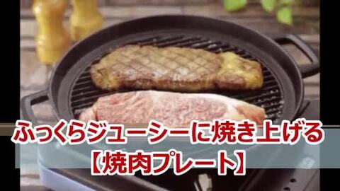 楽天市場】【11/20は全品ポイント3倍！】1年保証・パンフレット付き