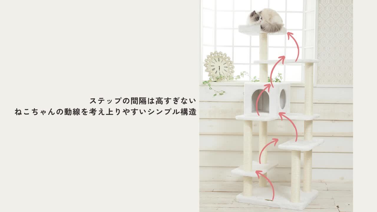 インテリアサークル プルミエ キャット クラシカル インテリアサークル プルミエ キャット クラシカル インテリアサークル