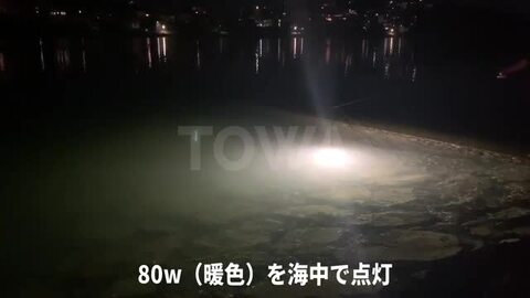 楽天市場】LED 水中集魚灯 LED集魚灯 水中ライト 堤防釣り 水中