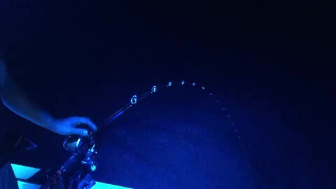 【完成品】摸魚動力 流星号 LED発光ユニット 組立済｜Type-C給電 Amazon.co.jp : Kaito Denshi(海渡電子) LED 5mm 砲弾型