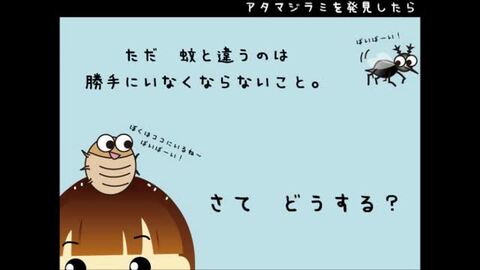 楽天市場】アタマジラミ（頭しらみ）薬剤を使わないシラミ駆除櫛（くし