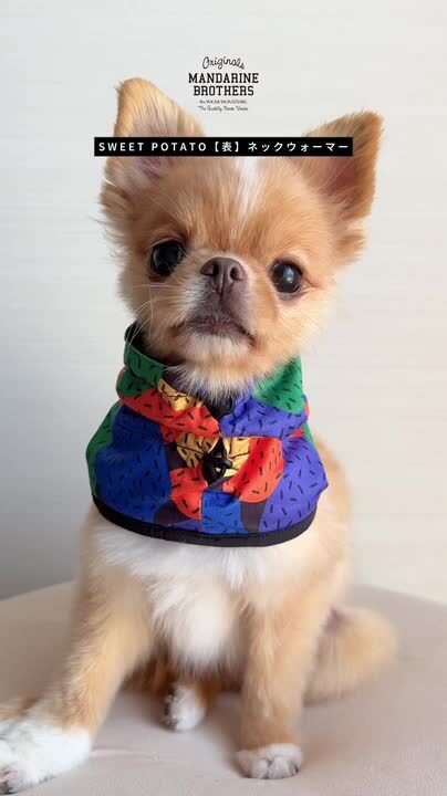 楽天市場】マンダリンブラザーズ スヌード ネックウォーマー 犬 服