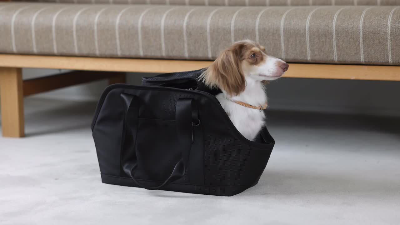 黒い犬用キャリーバッグ ポンポン付き 3ポケットボストンキャリーバッグ ショルダー付2way 犬 猫