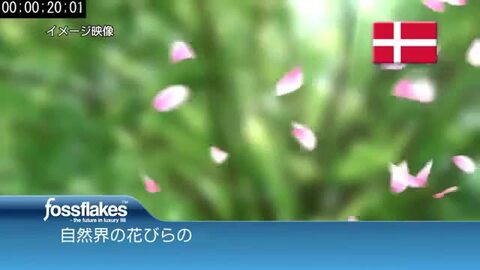 you様、専用 ヨドバシ.com - ツータイムズユー 2XU PWXコンプレッション