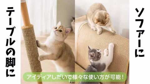 楽天市場】猫 爪とぎ マット 【全額返金保証】 40×30cm 猫用 つめとぎ