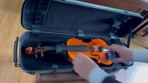 楽天市場】【バイオリンケース】ポリカーボネート製バイオリンケース Ossi F-08【アウトレット】 : L-FLAT MUSIC 楽天市場店