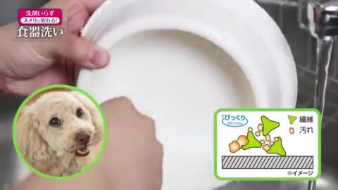 ペット用食器洗い 20枚入 犬猫用 スポンジ キッチン 洗剤いらず エコ びっくりフレッシュ サンコー ペット用品 台所用品 ペット ガーデン紀三井寺