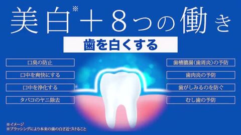 楽天市場】【お買い物マラソン期間最大P10倍】歯磨き堂 薬用