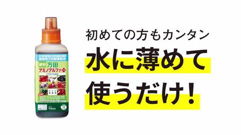 楽天市場】【公式】万田 アミノアルファプラス ( １Ｌ ) 万田酵素 元気 液体 肥料 液肥 濃縮タイプ カリウム リン酸 マグネシウム 植物 野菜  花 ガーデニング 農業 園芸 人気 大容量 送料無料 家庭菜園 : 万田発酵公式ショップ 楽天市場店