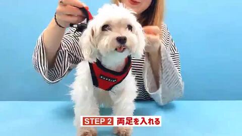 美品⭐︎PIN-STUDIO （ピンスタジオ）犬の介護用胴輪 Lサイズ 楽天市場