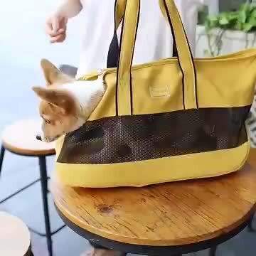 楽天市場】犬用 トートキャリー 犬 キャリーバッグ おしゃれ 犬