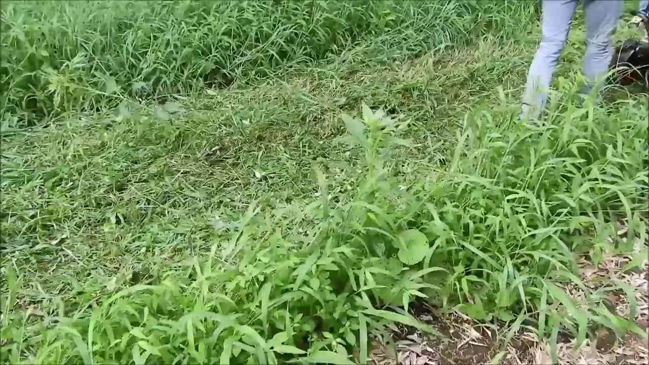 楽天市場】ハンマーナイフモア 自走式 エンジン 草刈機 草刈機機