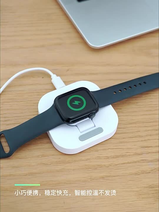 即日発送 タイニー アップルウォッチ ダブルロック式 アダブタ付き 【一点物】 アップルウォッチ 充電器 持ち運び アダプタ apple watch series