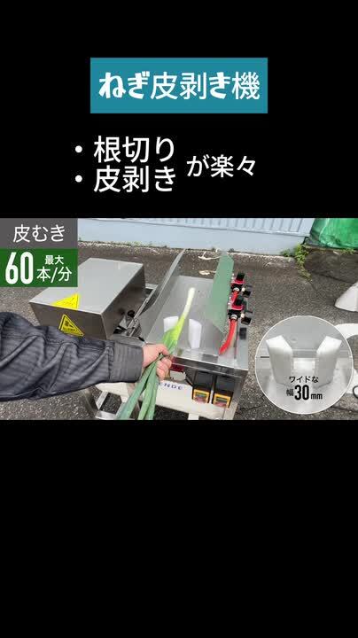 楽天市場】【予約受付中☆】ハイガー公式 ネギ皮むき機 長ネギ