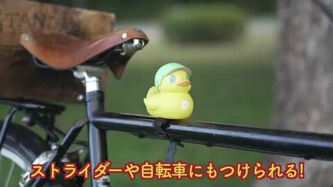 duckn_poster.jpg
