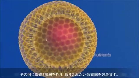 楽天市場】【正規品】リポソーマル グルタチオン サプリメント