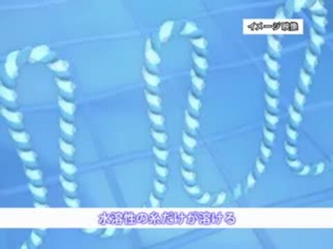 楽天市場】ヨシふきん ヨシ蚊帳ふきん 蚊帳ふきん 蚊帳生地 台