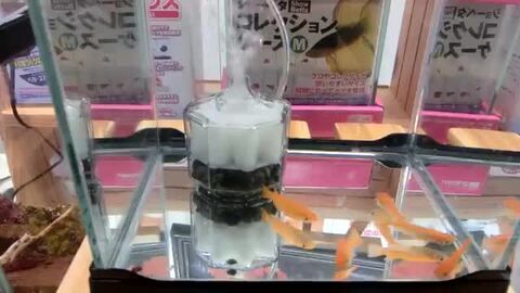 楽天市場】□水作 エイトコア ミニ EC-00 1個 送料無料 但、一部