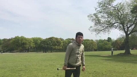楽天市場】アイピーセレクト アルモニーア フレーチャ FLECHA Ip