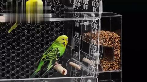 楽天市場】鳥かご バードケージ 飼育ケージ 大きいケージ 鳥小屋