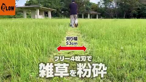 楽天市場】【ポイント5倍◇5月1日限定】【予約商品 楽天市場】【ポイント5倍◇5月1日限定】【予約商品