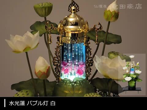 楽天市場】【盆提灯・盆ちょうちん】水光蓮(すいこうれん