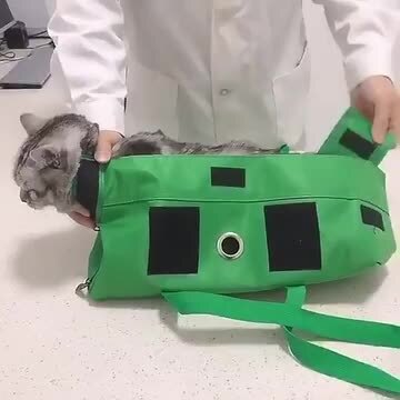 楽天市場】【楽天1位】猫 保定袋 キャット グルーミングバッグ