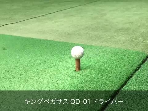 楽天市場 特注カスタムクラブ クオイドゴルフ Qoid Golfキングペガサス King Pegasusqd 01 ドライバーグラビティワクチンコンポ Gr331 シャフト 第一ゴルフ カスタムクラブ専門店