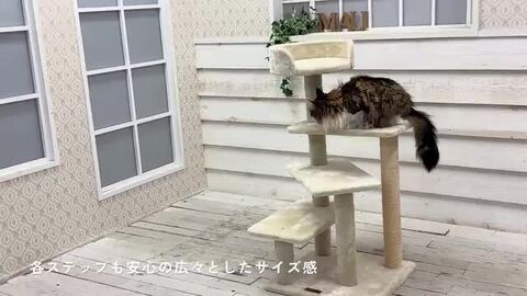 楽天市場】【Mauタワーゴールドクレエ】キャットタワー 据え置き 大型