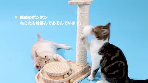 キャットタワー 140cm 爪とぎ 猫 おもちゃ ボール ボウル 麻紐 組立て式 楽天市場】【10%OFF☆スーパーSALE】猫おもちゃ 木製 爪とぎ