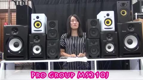 楽天市場】ProGroup＆HomeSound / MS-210J (L/R 2台ペア) - アンプ搭載